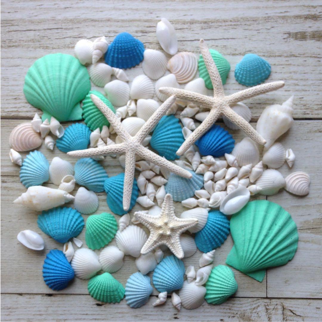 貝殻 貝殻セット インテリア 飾り 青 ブルー ハワイ ヒトデ マリン 海