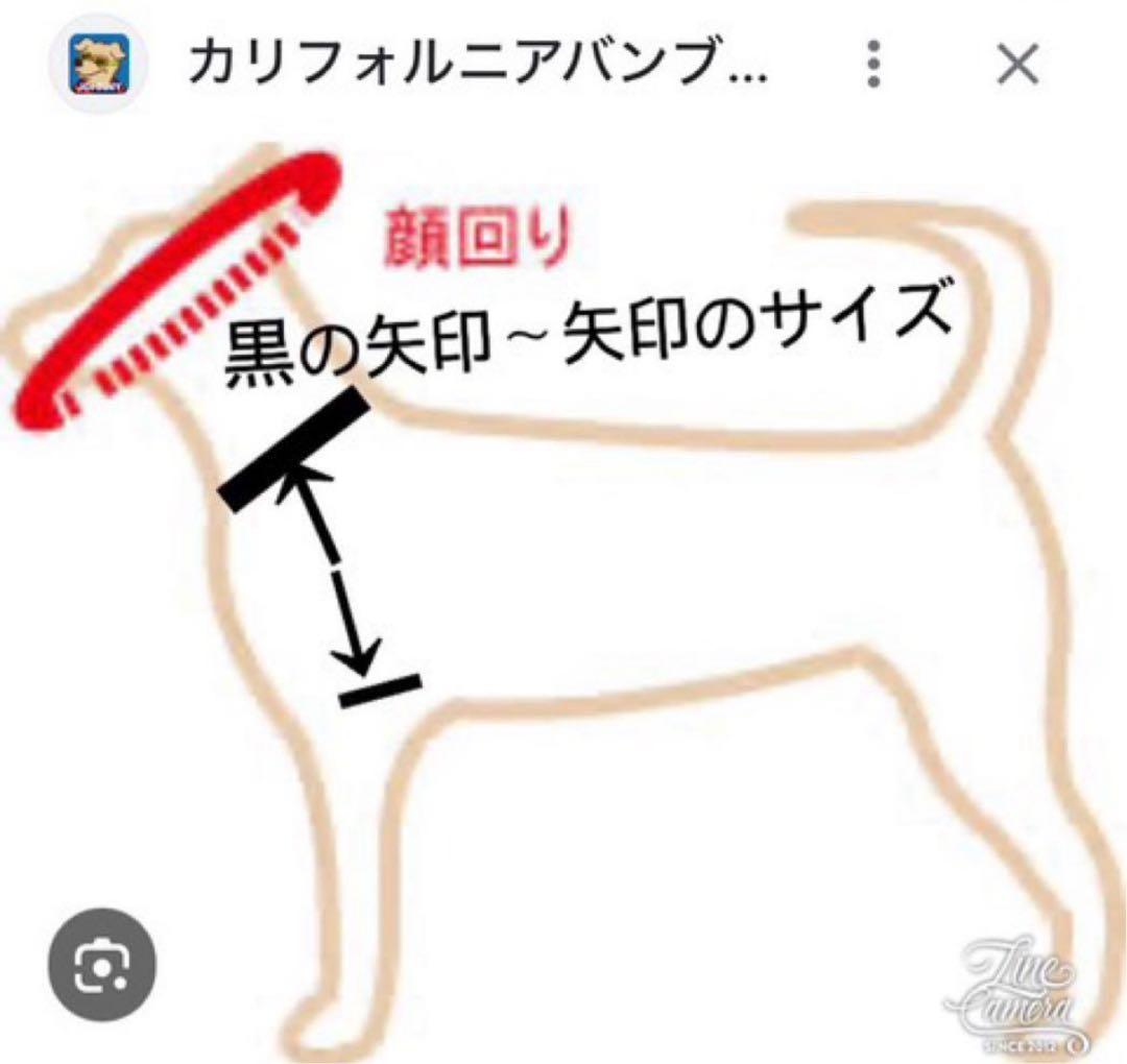 犬服 着物 お引摺り 2way 小型犬 Mサイズ 髪飾り付き