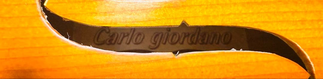 Carlo giordano バイオリン VS-0-44 4/4サイズ