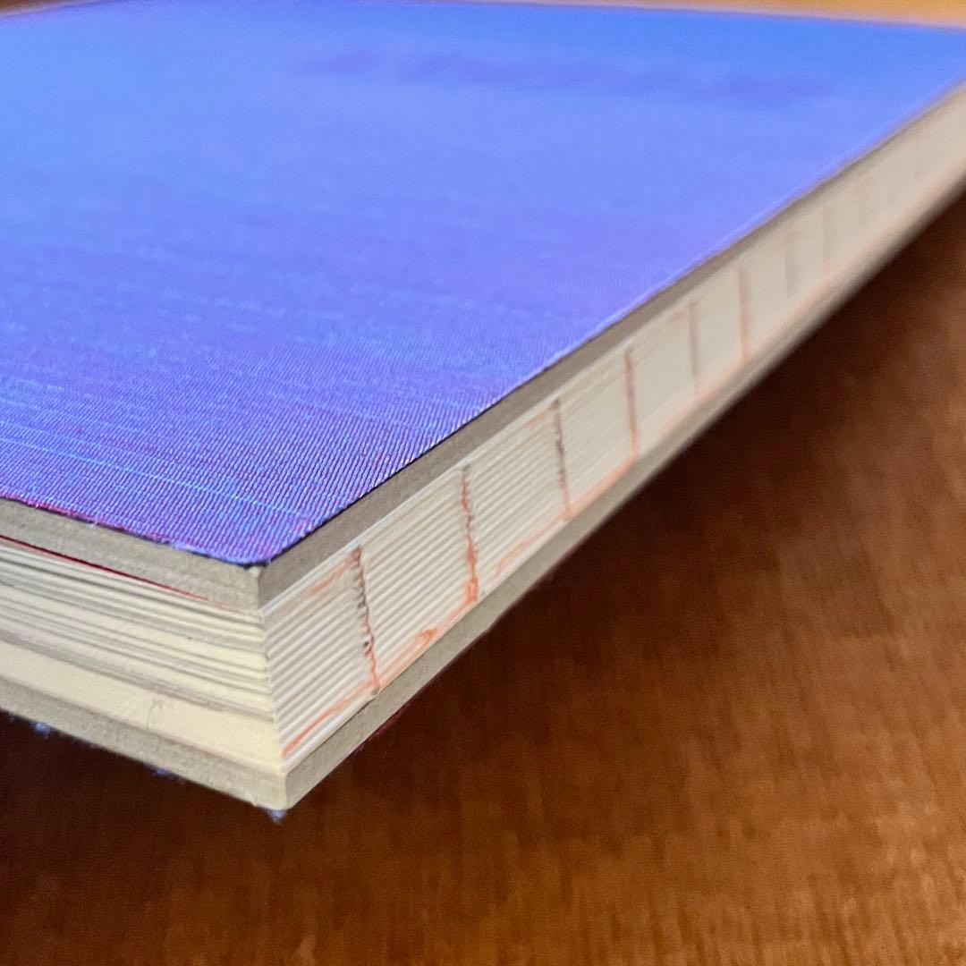 菅田将暉 小松菜奈 写真集 PIEZOGLYPH #FF0921