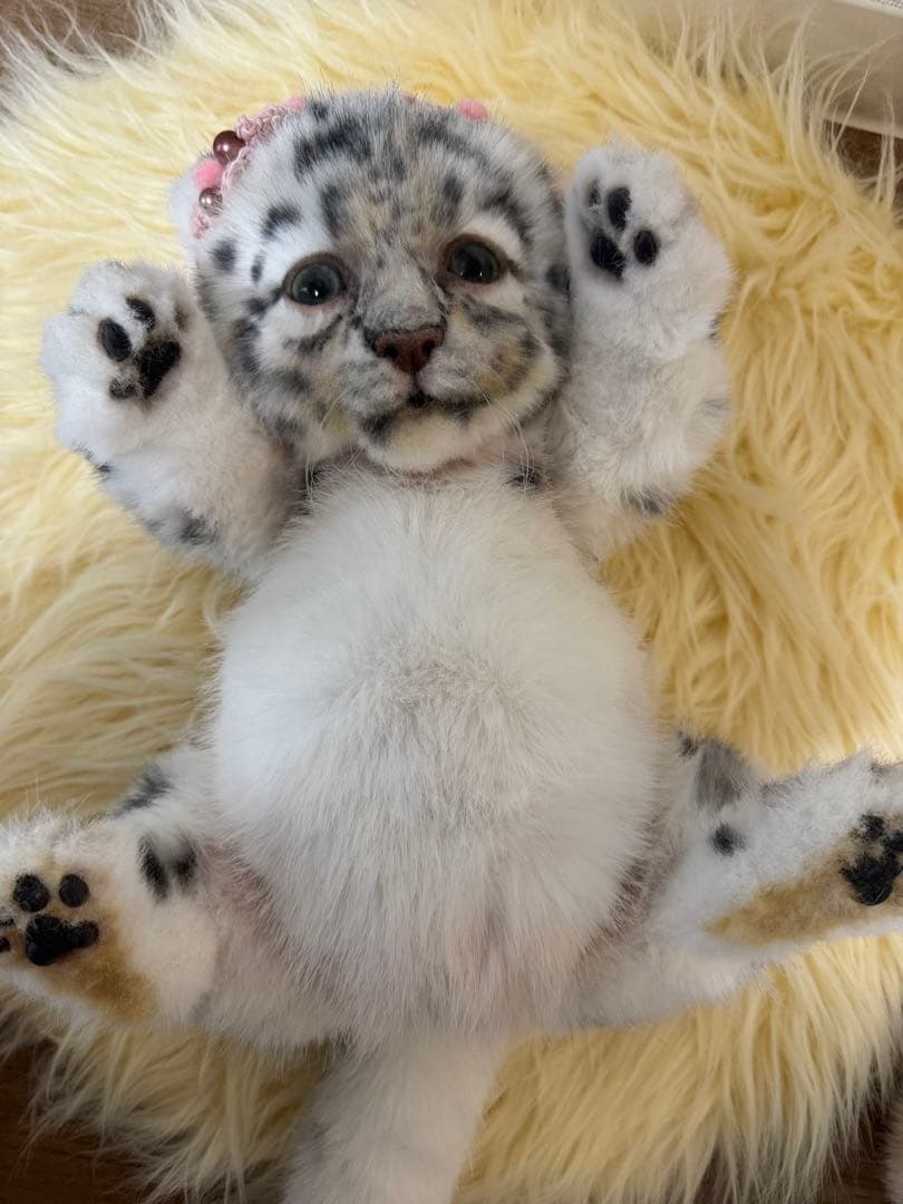 海外作家様作 アートドール ユキヒョウの赤ちゃん