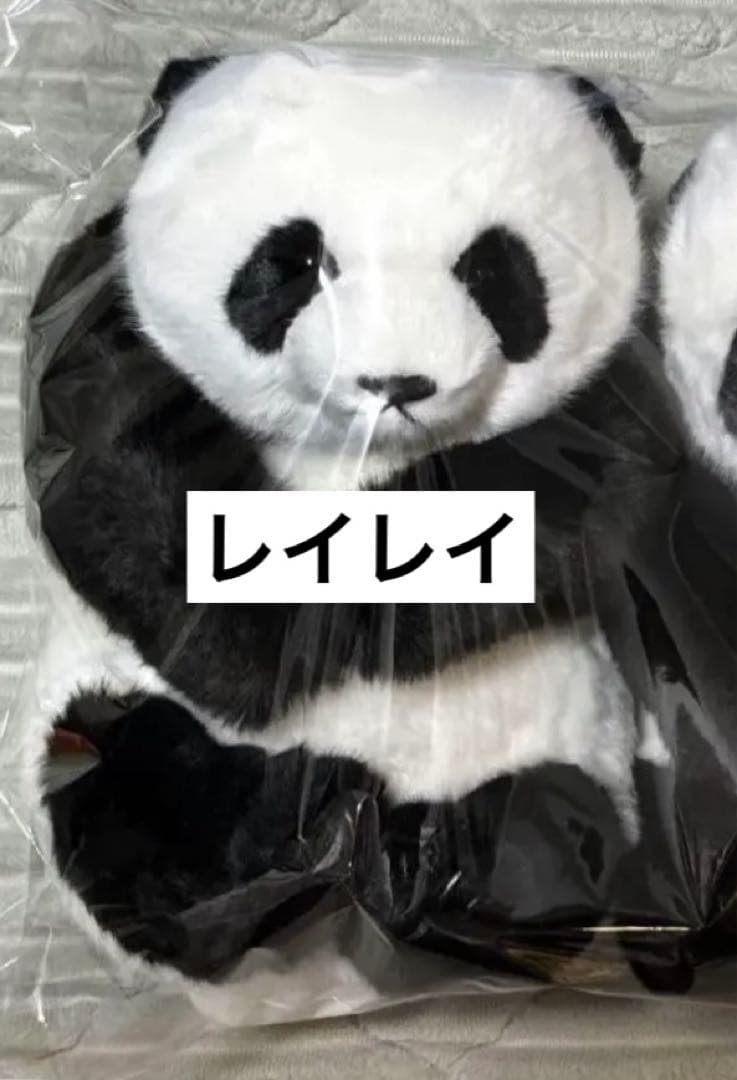 上野動物園 パンダ ぬいぐるみ抱っこミニ 暁暁 蕾蕾 シャオシャオ レイレイ