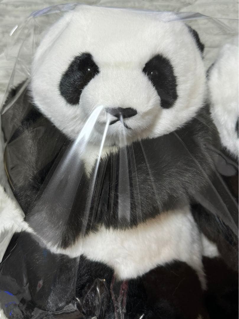 上野動物園 パンダ ぬいぐるみ抱っこミニ 暁暁 蕾蕾 シャオシャオ レイレイ