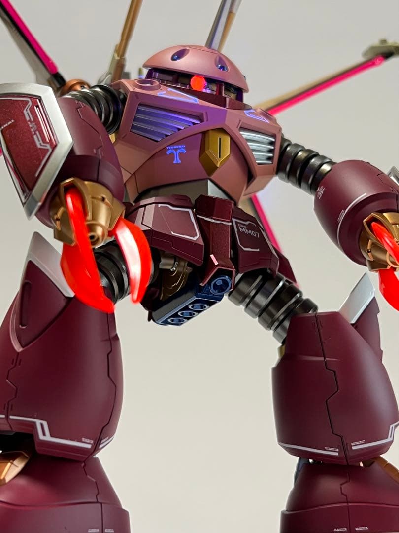 HGCE ズゴック SEED FREEDOM Ver. 塗装完成品 CAセット