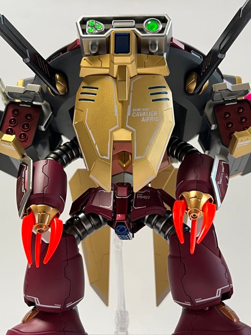 HGCE ズゴック SEED FREEDOM Ver. 塗装完成品 CAセット