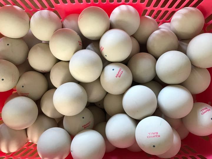 新品スポーツ・レジャー - ケンコーソフトテニスボール100球 公認球