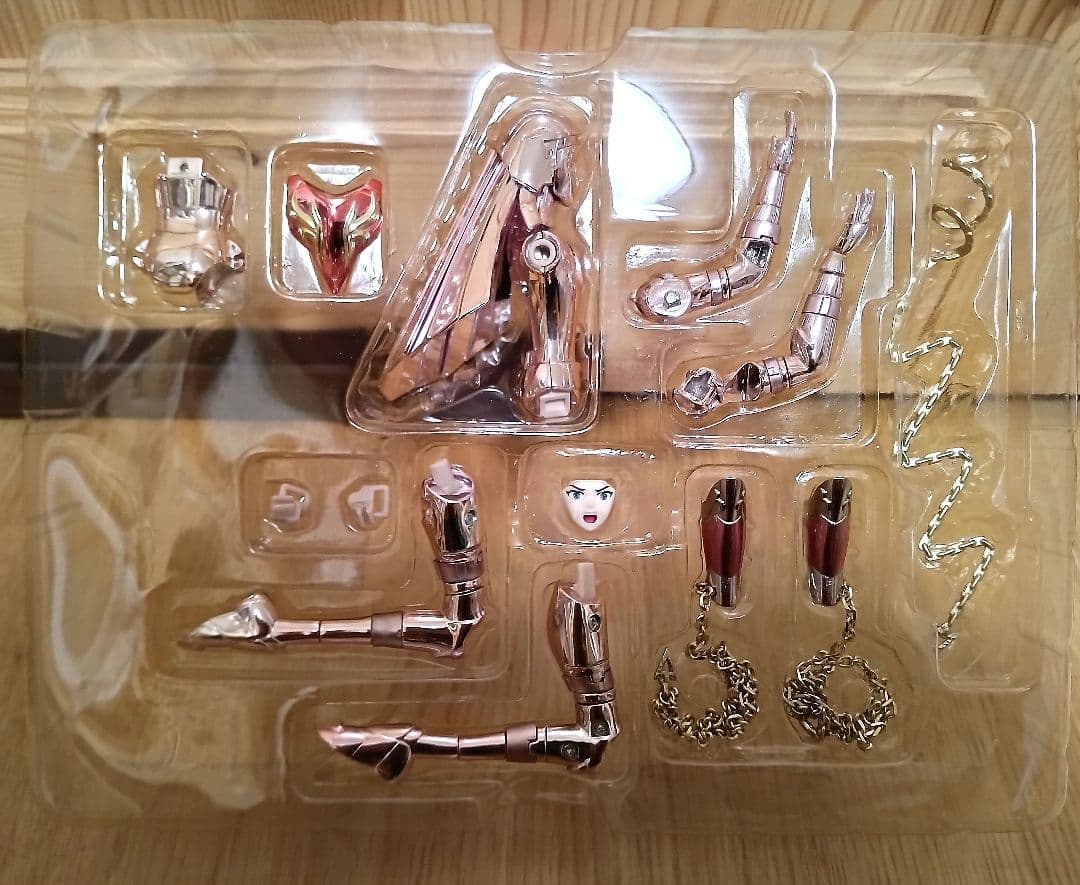 聖闘士聖衣神話 神聖衣（10周年記念）青銅聖闘士5体セット