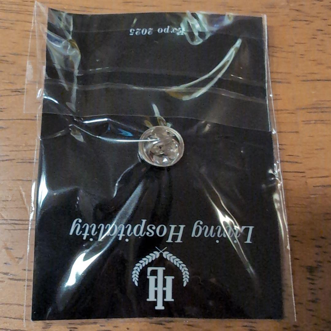 【非売品レア】大阪関西万博　スイス館　ピンバッジ