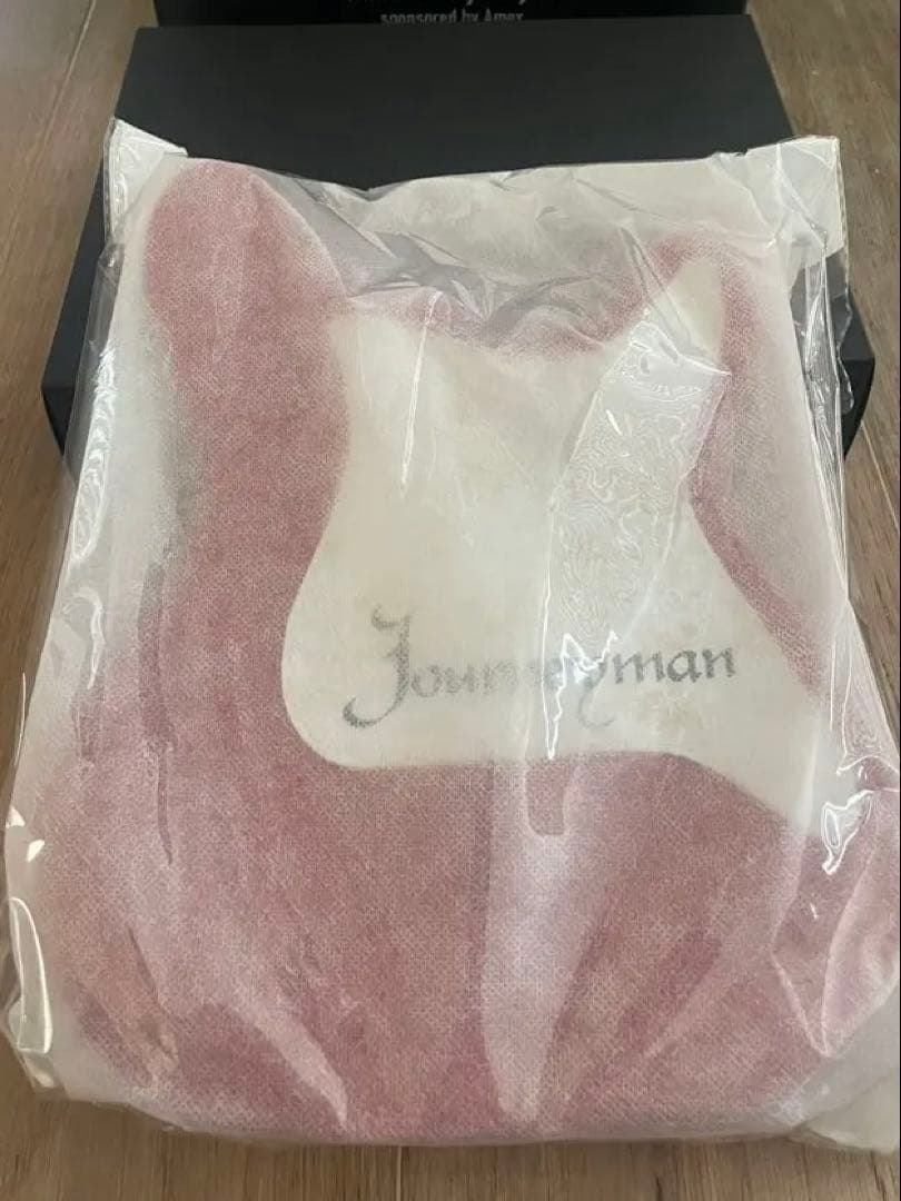 GLAY Journeyman ギターボディ型ショルダーバッグ