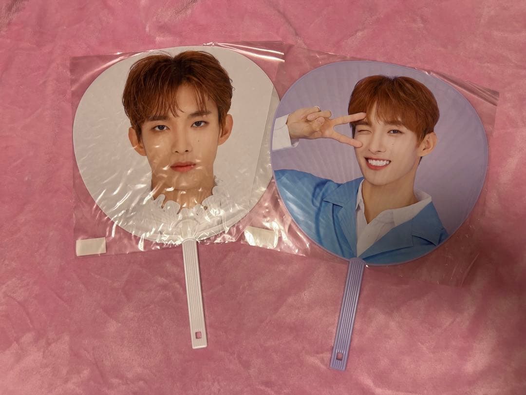 SEVENTEEN ドギョム 2020 JAPAN DOME TOUR うちわ - メルカリ