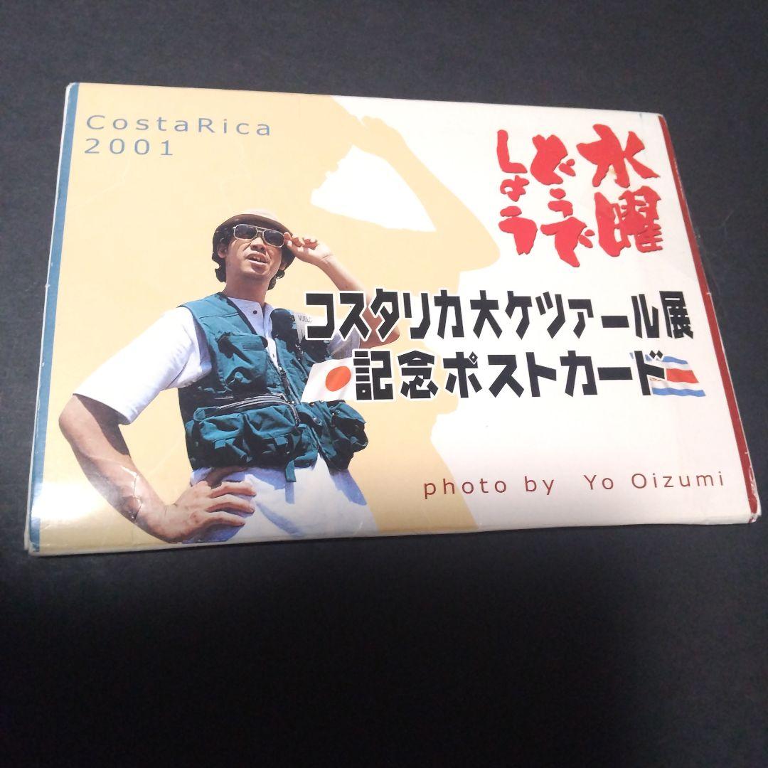 大泉洋 水曜どうでしょう コスタリカポストカード - メルカリ