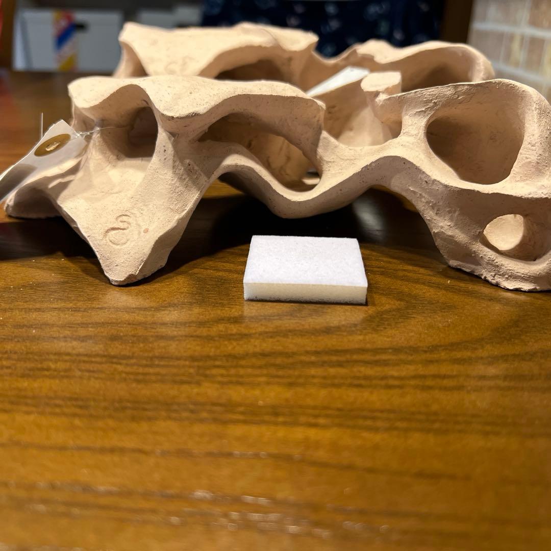 価格相談可）シェルタクラフタ 2個