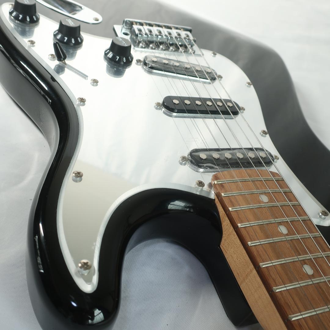 SELDER ミラーピックガード エレキギター ケース付