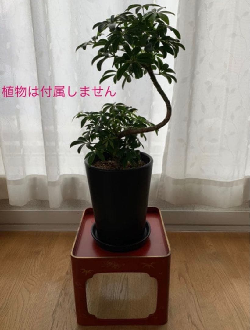 御膳 朱塗り