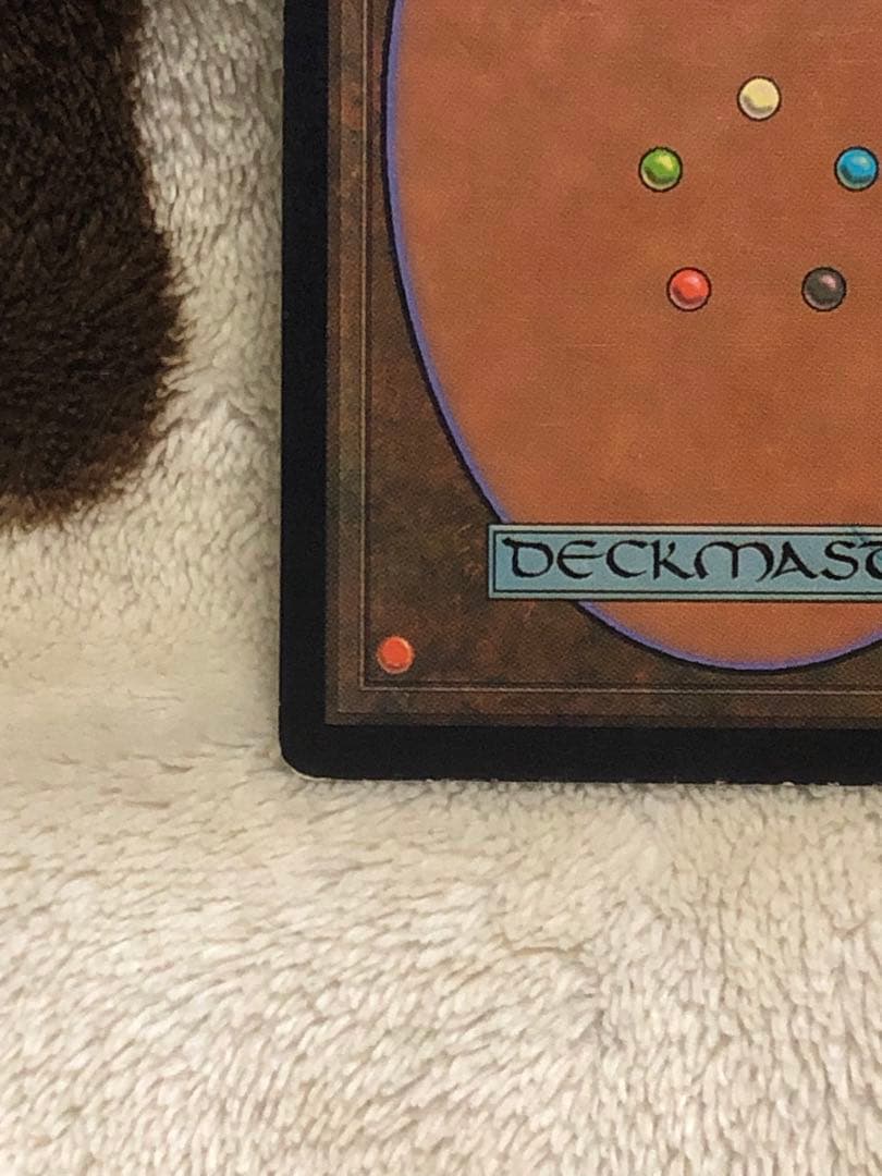 mtg 翻弄する魔道士　Meddling Mage foil 日本語