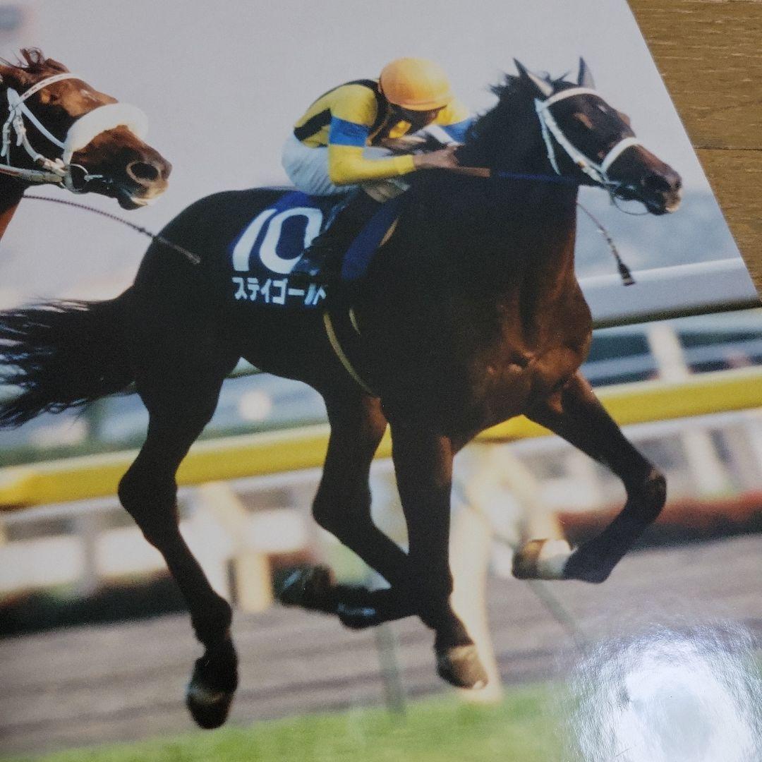 1998年天皇賞・秋 オフサイドトラップパネル 哀しい想い出」第118回