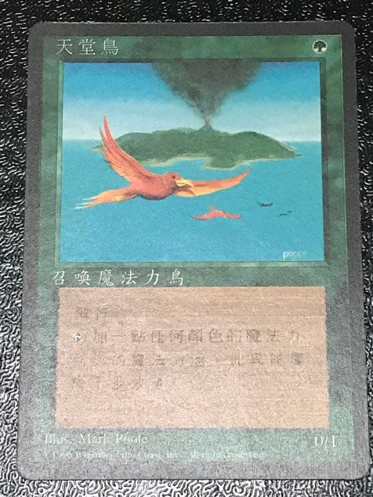 MTG 極楽鳥 4版 中国語 黒枠 繁体字 安い 価格