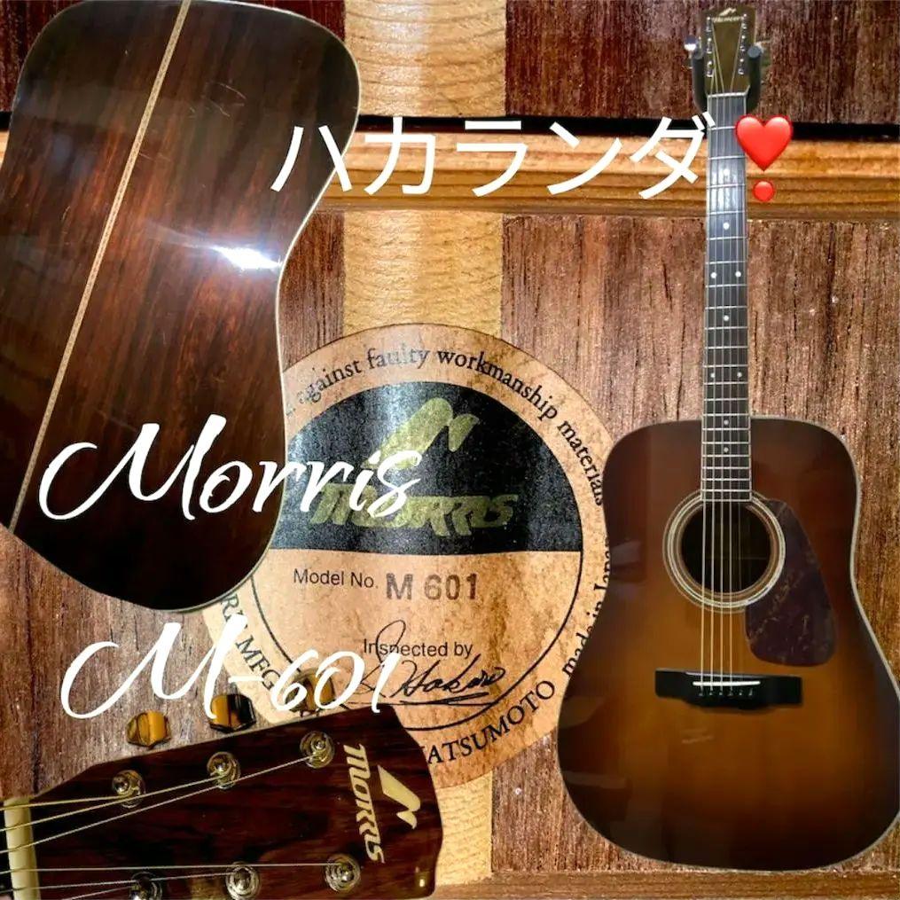 値下！美品！MorrisモーリスM-601トップ単板ハカランダ調整