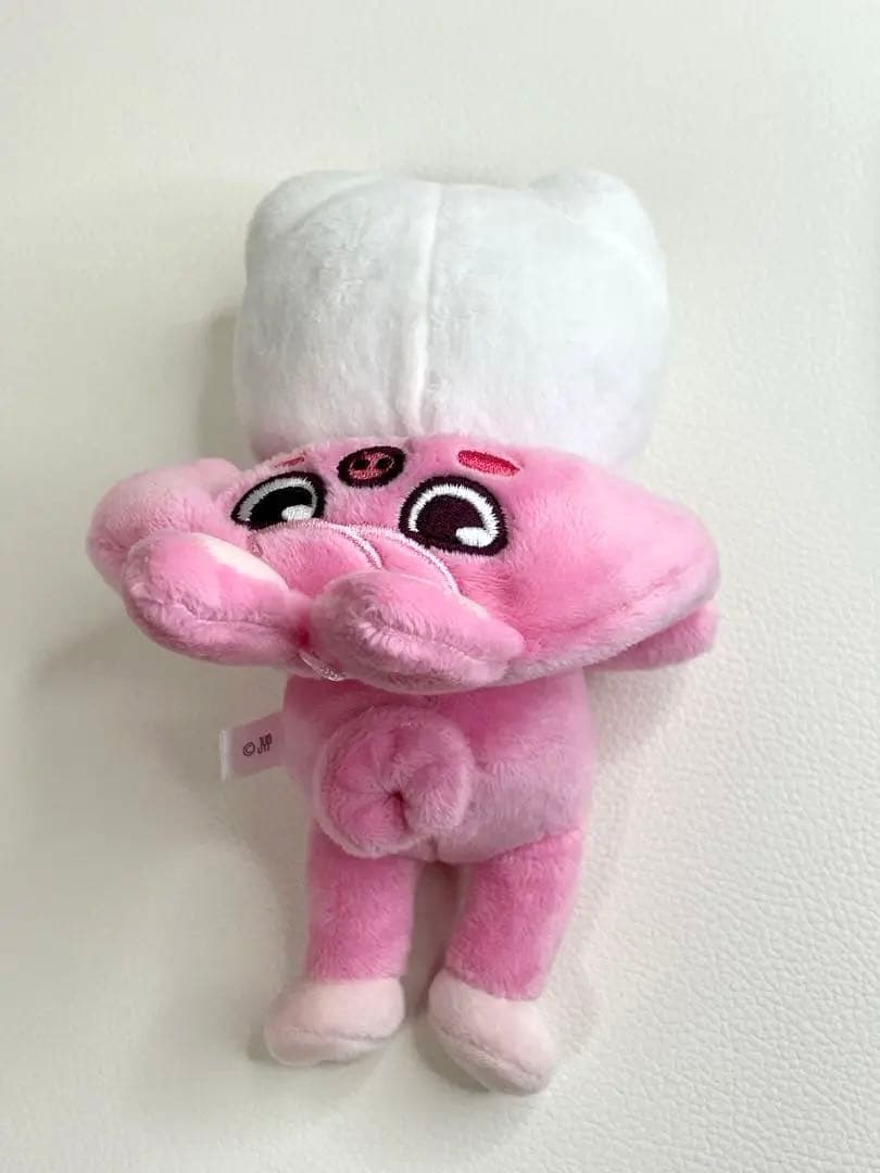 ジニレット 抱きぬいぐるみ＋バッグチャーム2点セット skzooヒョンジン