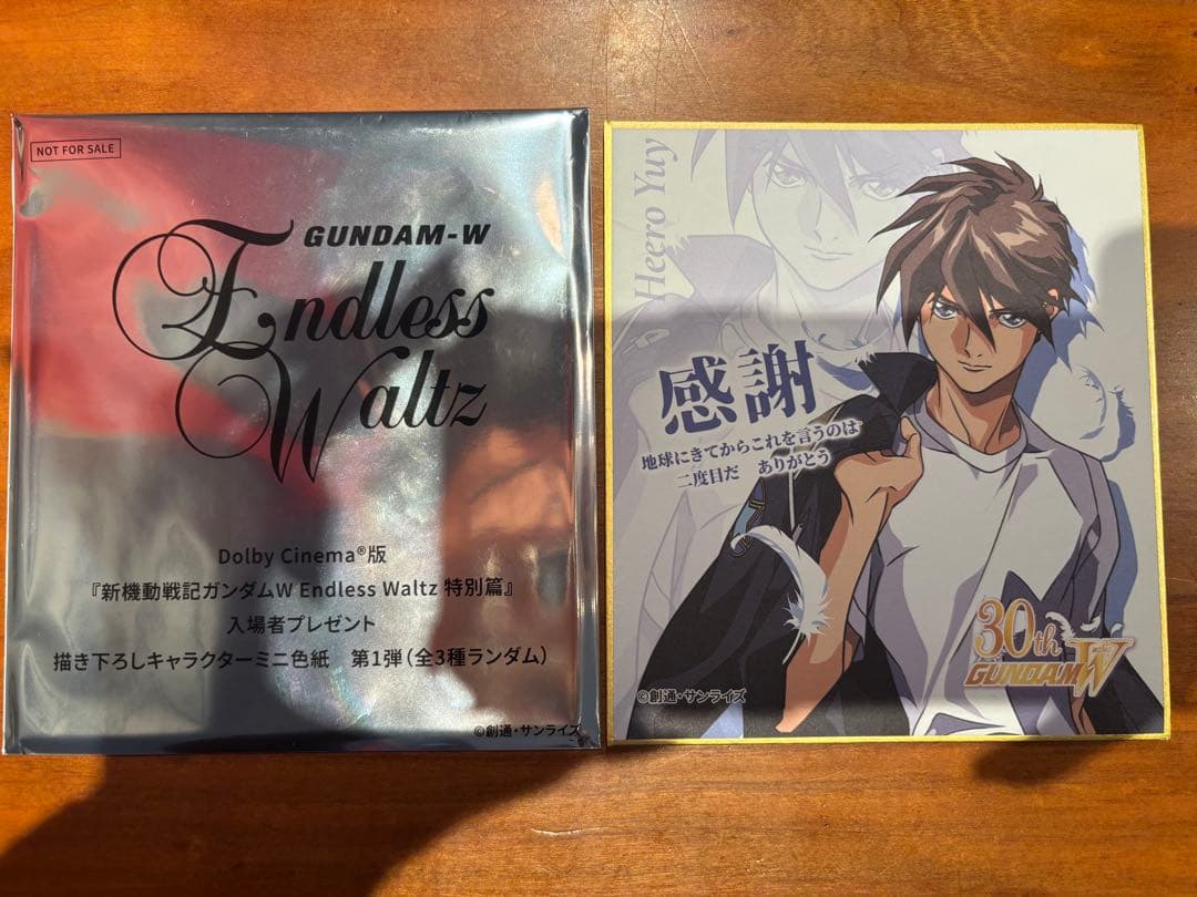 ヒイロ・ユイ ガンダムW 30周年記念 色紙 ヒイロ ユイ 新機動戦記