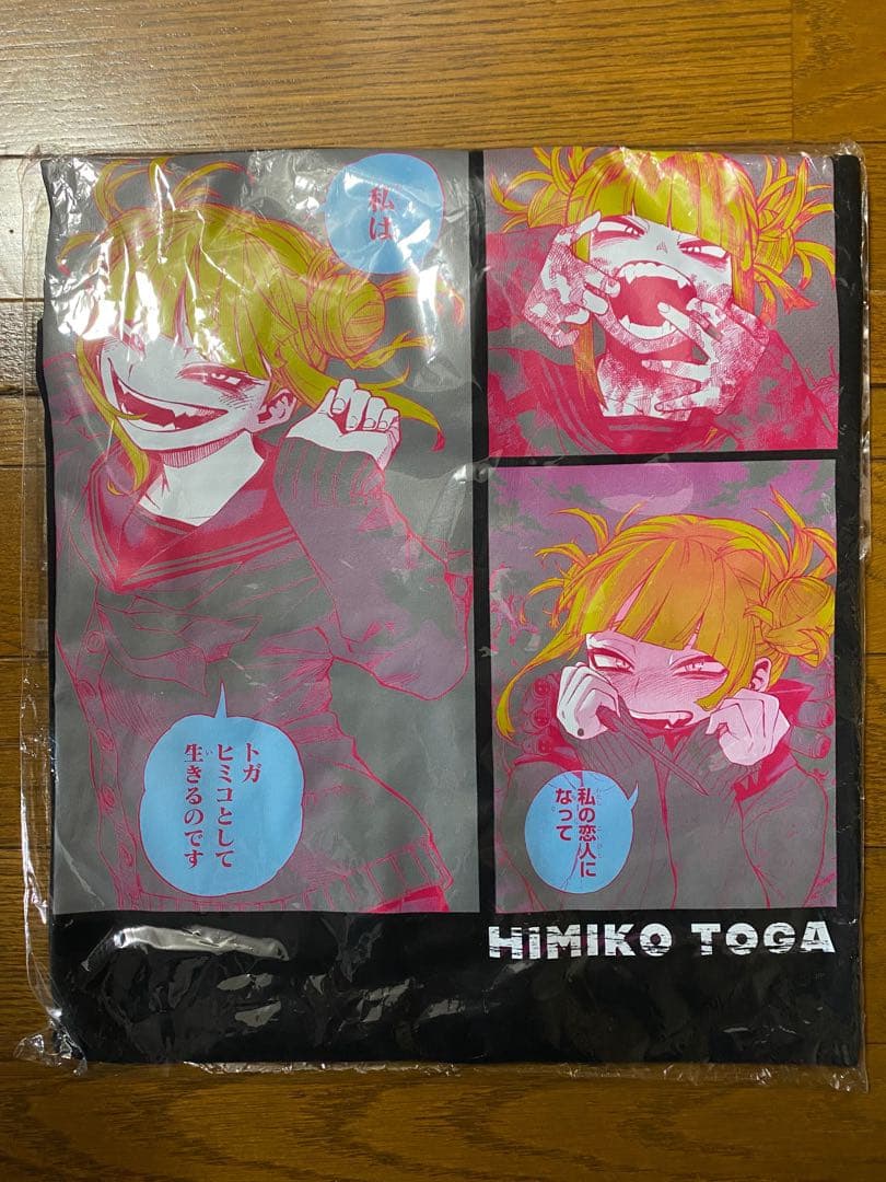 日本限定】岩手県限定ご当地キティ 銀河鉄道物語 A4クリアファイル