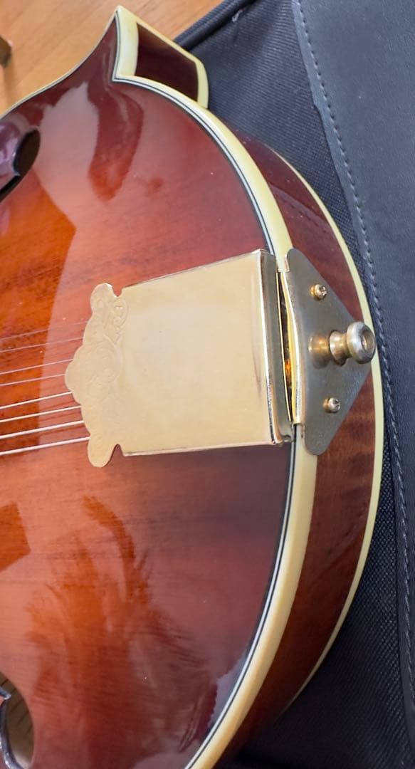 STAFFORD Traditional マンドリン 本体 ハードケース付き