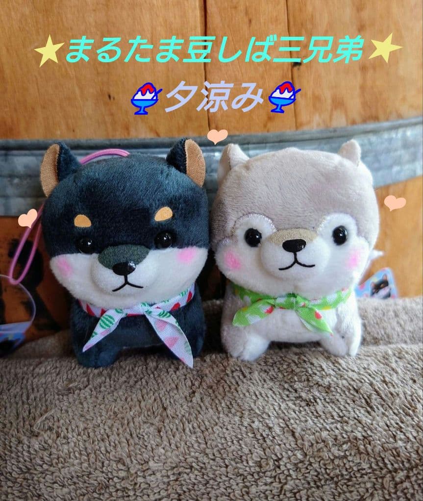 まるたま豆しば三兄弟【新作・新キャラ含】VMCセット まるたま豆しば三兄弟【新作・新キャラ含】VMCセット まるたま豆