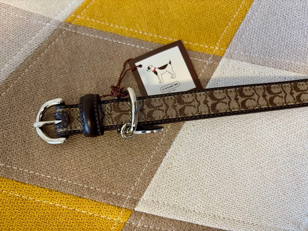 BUDDYBELTS (バディベルトBB) ハーネス2.5号 リードSサイズ 白