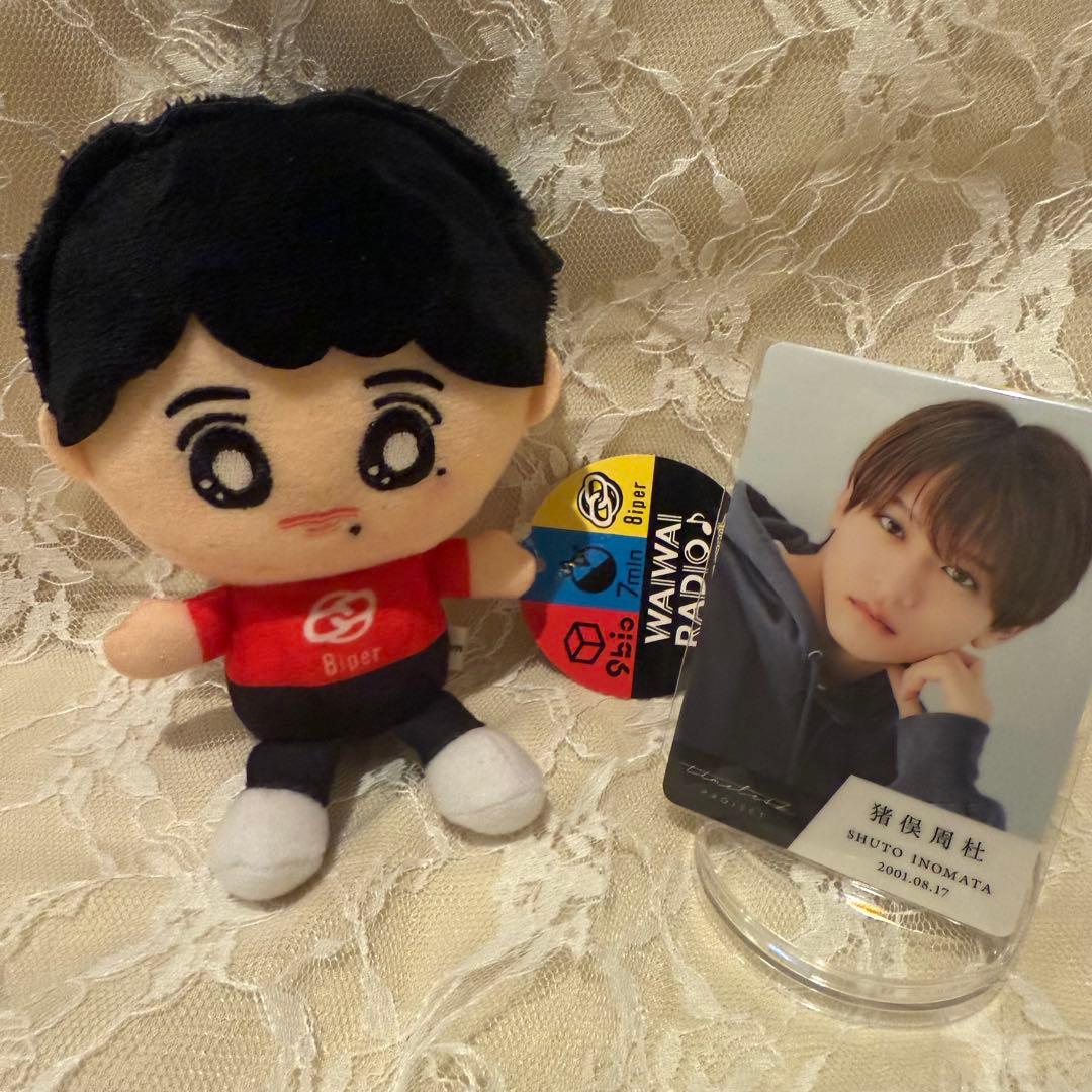 猪俣周杜 タイプロ トレカ 猪戸周杜 ぬいぐるみ timelesz project