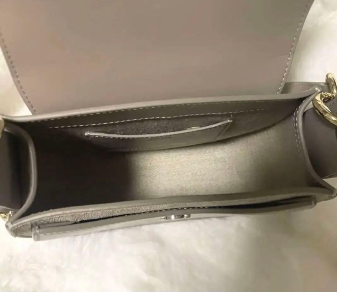 値下げ再出品　シャイニー＆スエードレザー　TESS スモールバッグ　クロエ