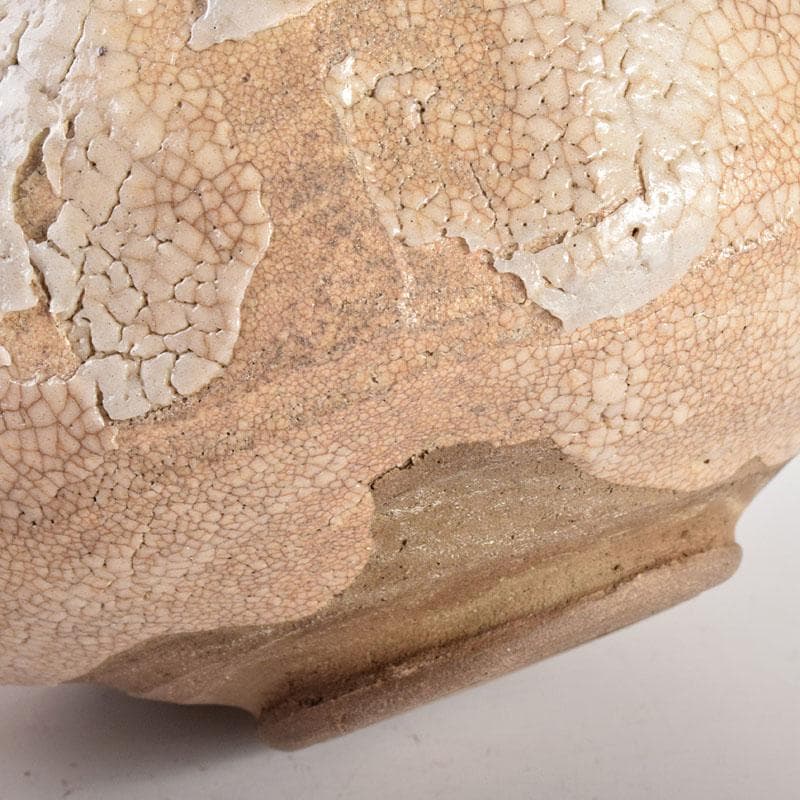 茶道具　志野焼　茶碗　仕覆付　表千家十三代即中斎極箱　D　R4955