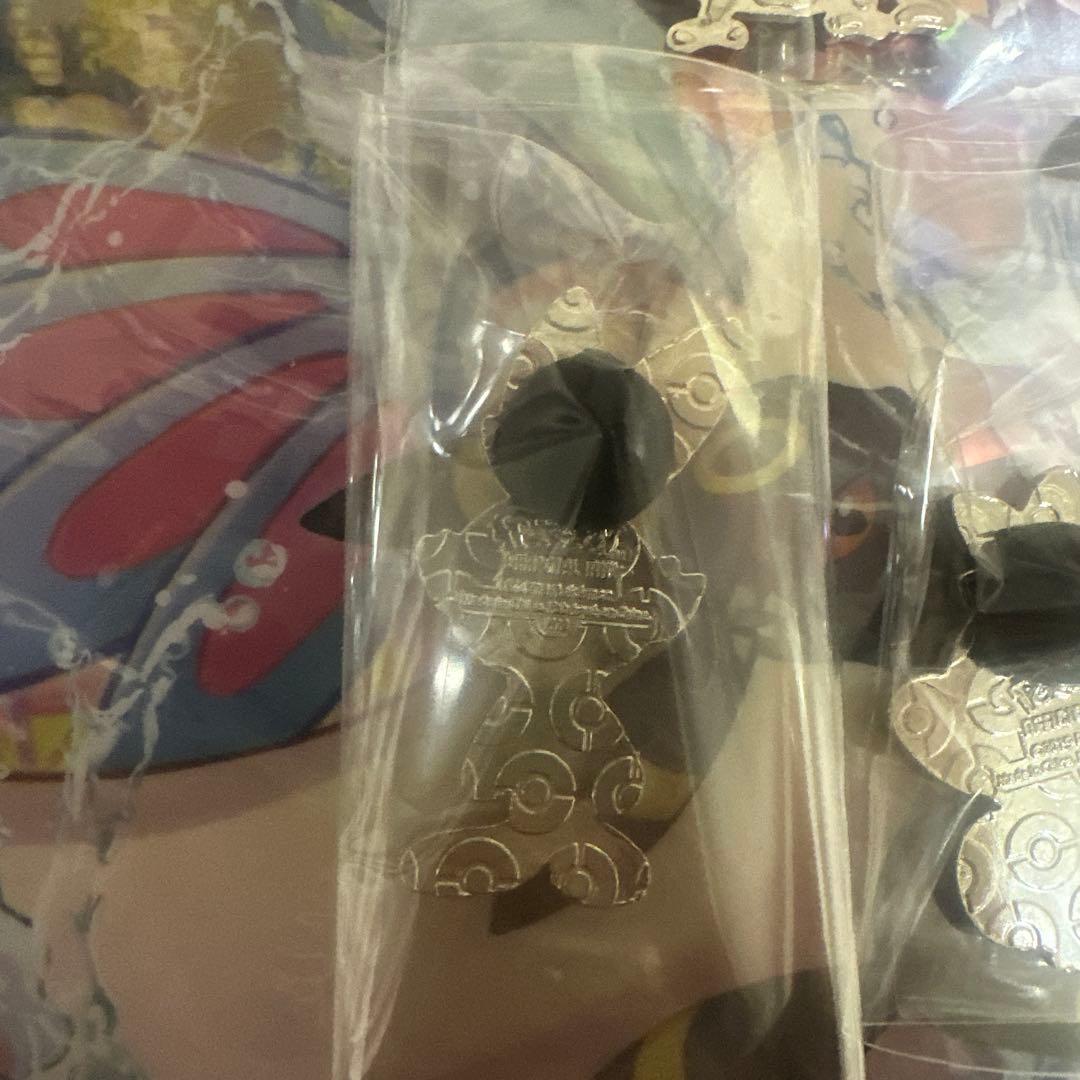 ポケモン 海外 ピンバッジ3個セット メッソン ヒバニー サルノリ