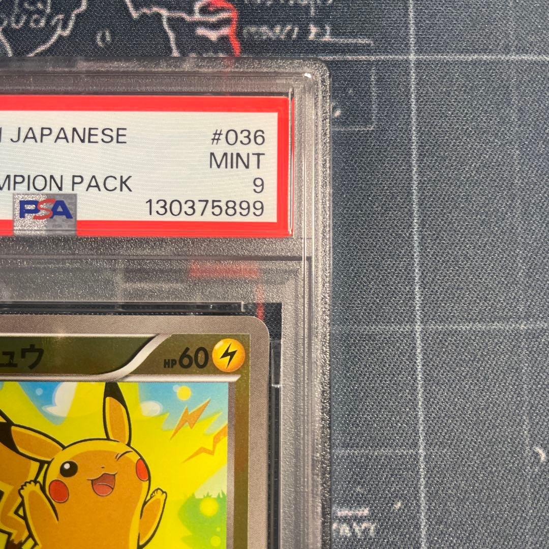 ピカチュウ：スペシャルBOX メガリザードンXのポンチョを着たピカチュウ・メガ…