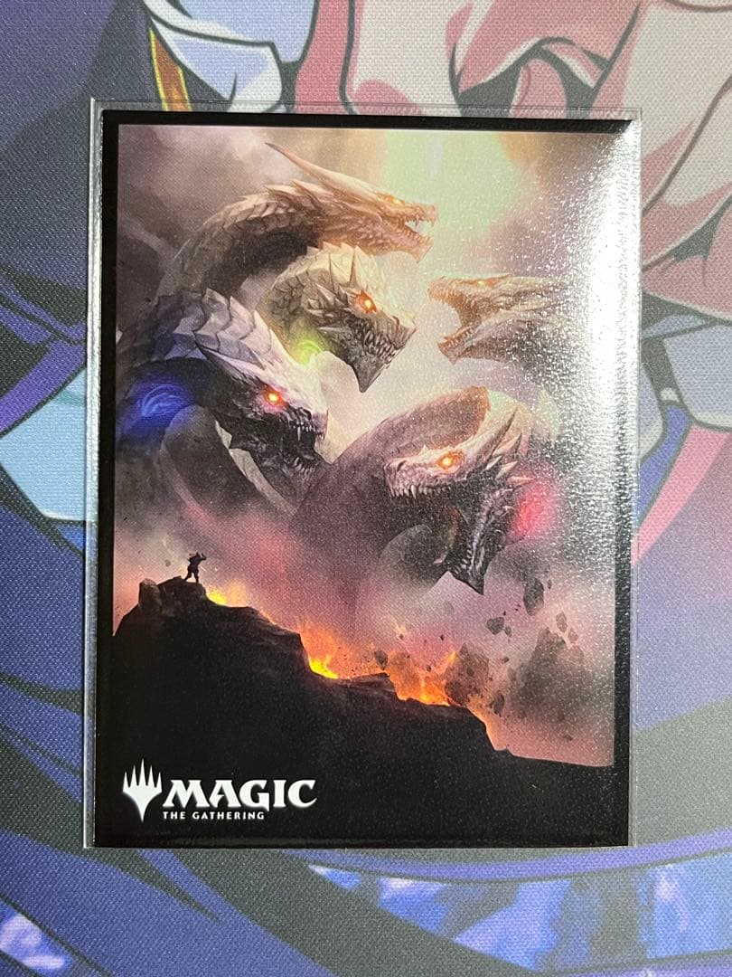 野獣魂様専用】ラッカゾージア 構築済みデッキ