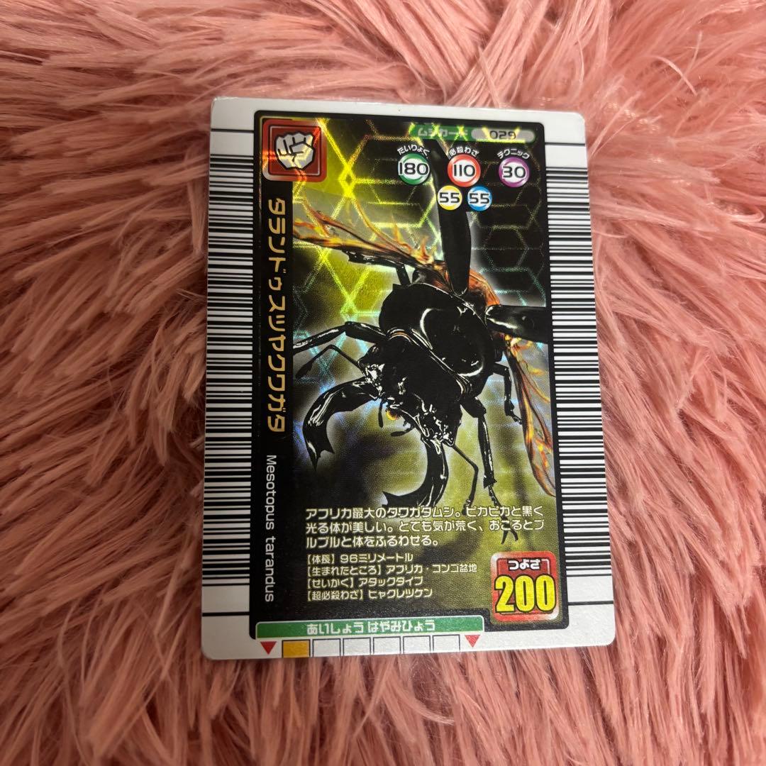 ムシキング カード タランドゥスツヤクワガタ 2005夏限定デザイン 甲虫