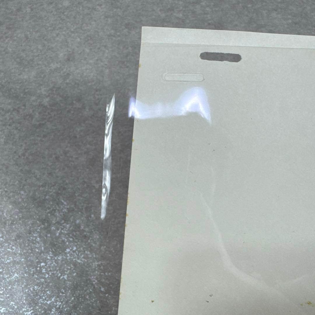 希少 あらいぐまラスカル ラスカル C6 セル画 日本アニメーション