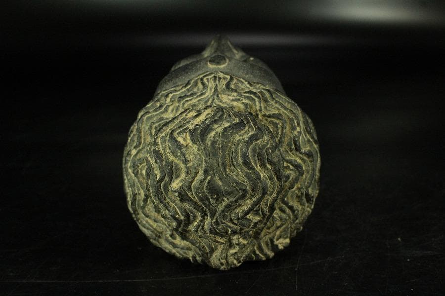 仏教美術 ガンダーラ仏頭(K-XA903)