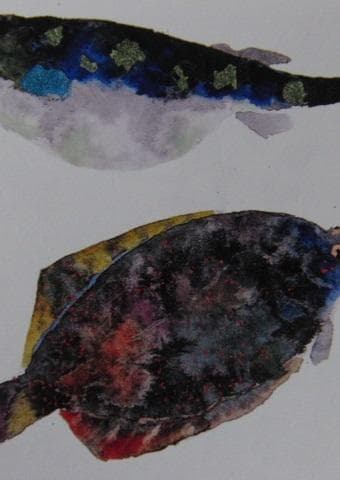 片岡鶴太郎、【ふぐと鰈】、希少な額装用画集より、美品、日本人画家