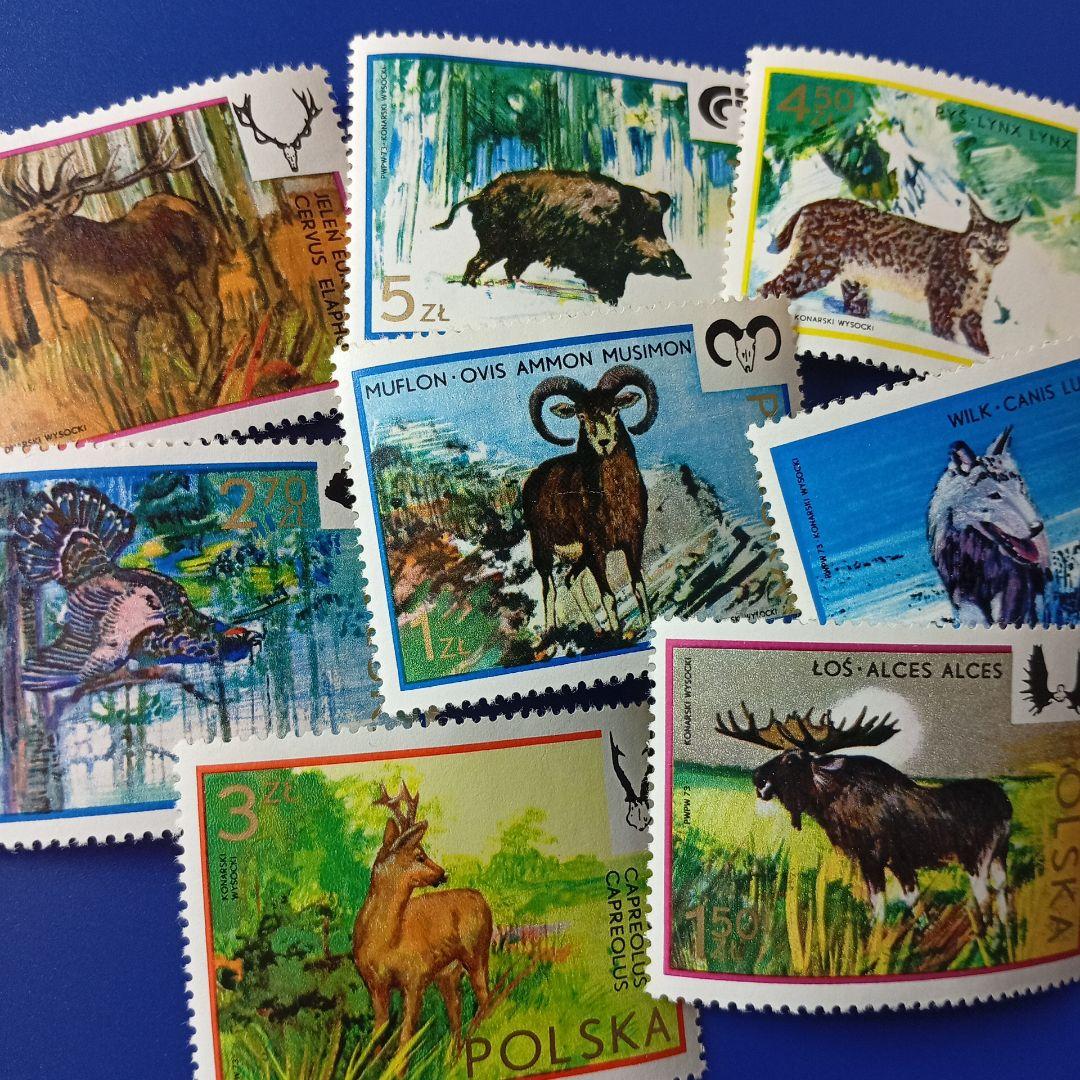 9472 外国切手 ポーランド 1970年代 動物 狩猟 8枚セット - メルカリ