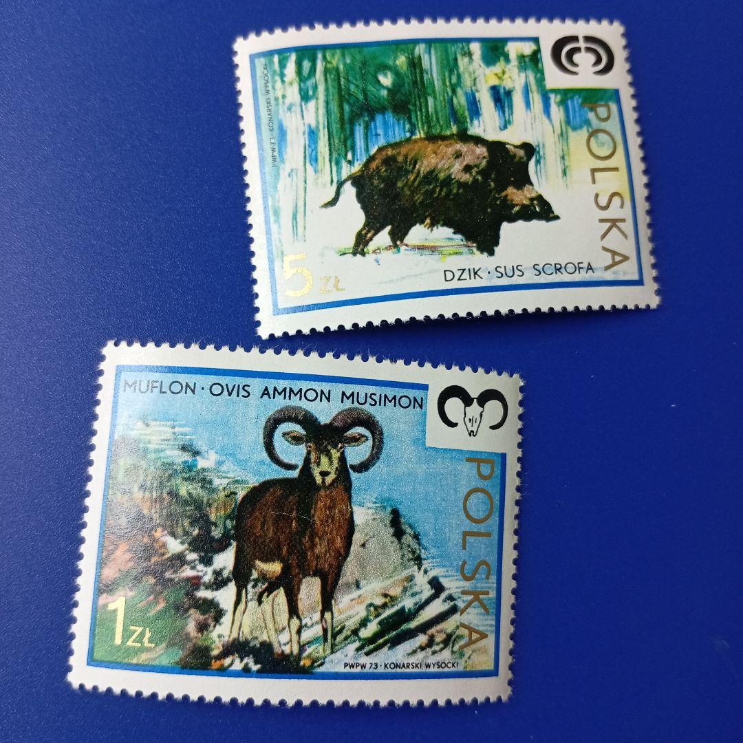 9472 外国切手 ポーランド 1970年代 動物 狩猟 8枚セット - メルカリ