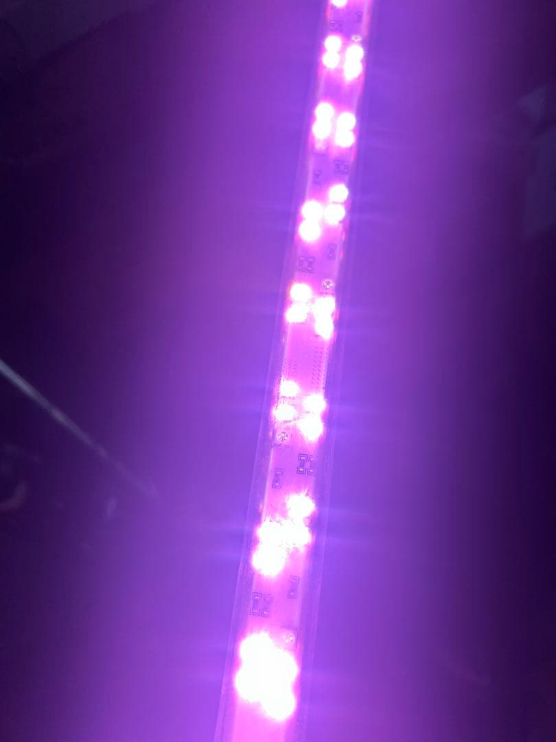 minila/ASK] 煌LED水中LEDライト 150センチ