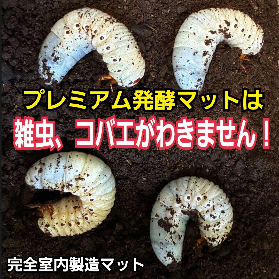 極上！カブトムシ幼虫の餌・産卵に！プレミアム3次発酵マット