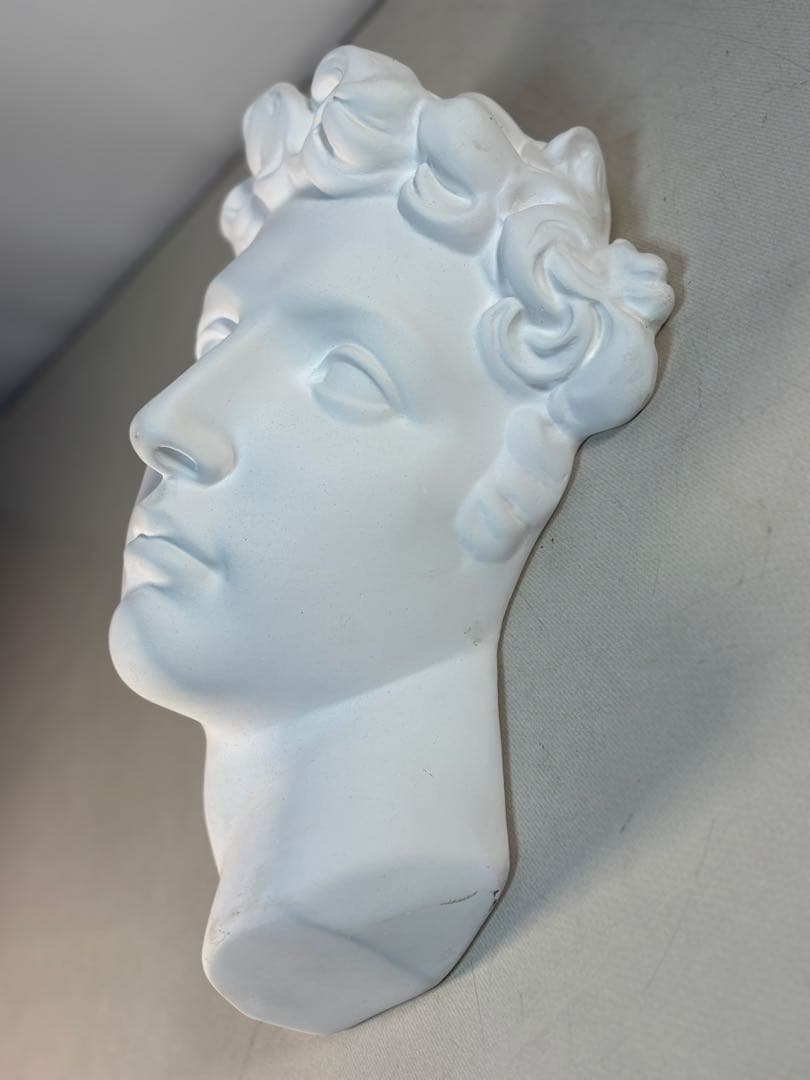 石膏像 メディチ デッサン 半面像 美術 絵画 オブジェ 彫刻 アート