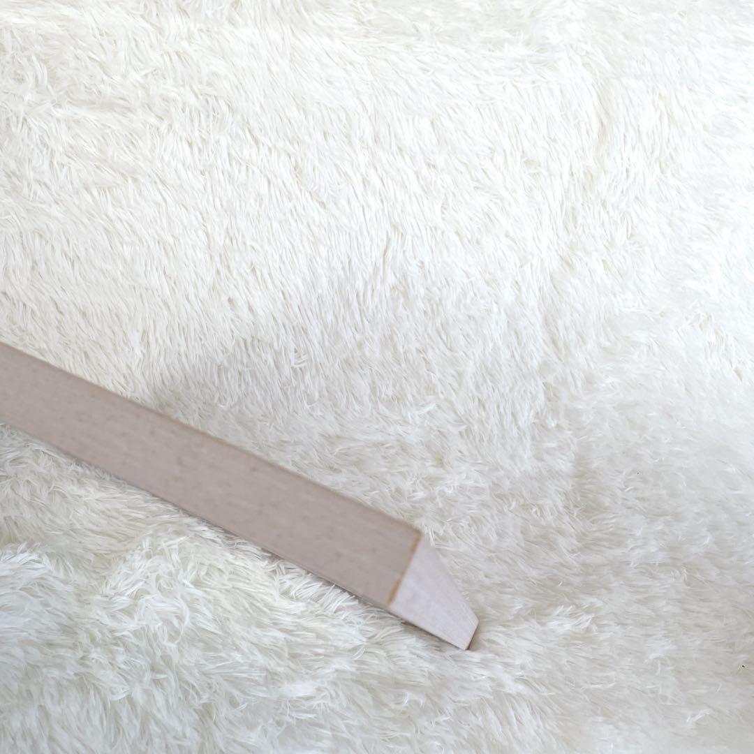 絵画 葉 祥明 「ジェイクとうみねこ」 動物 額装 ヒーリングアート