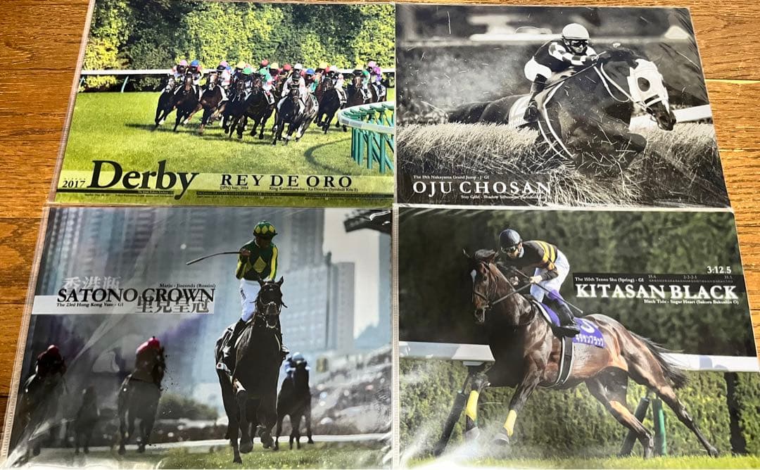 競馬グッズ クリアファイル23枚 競馬 JRA