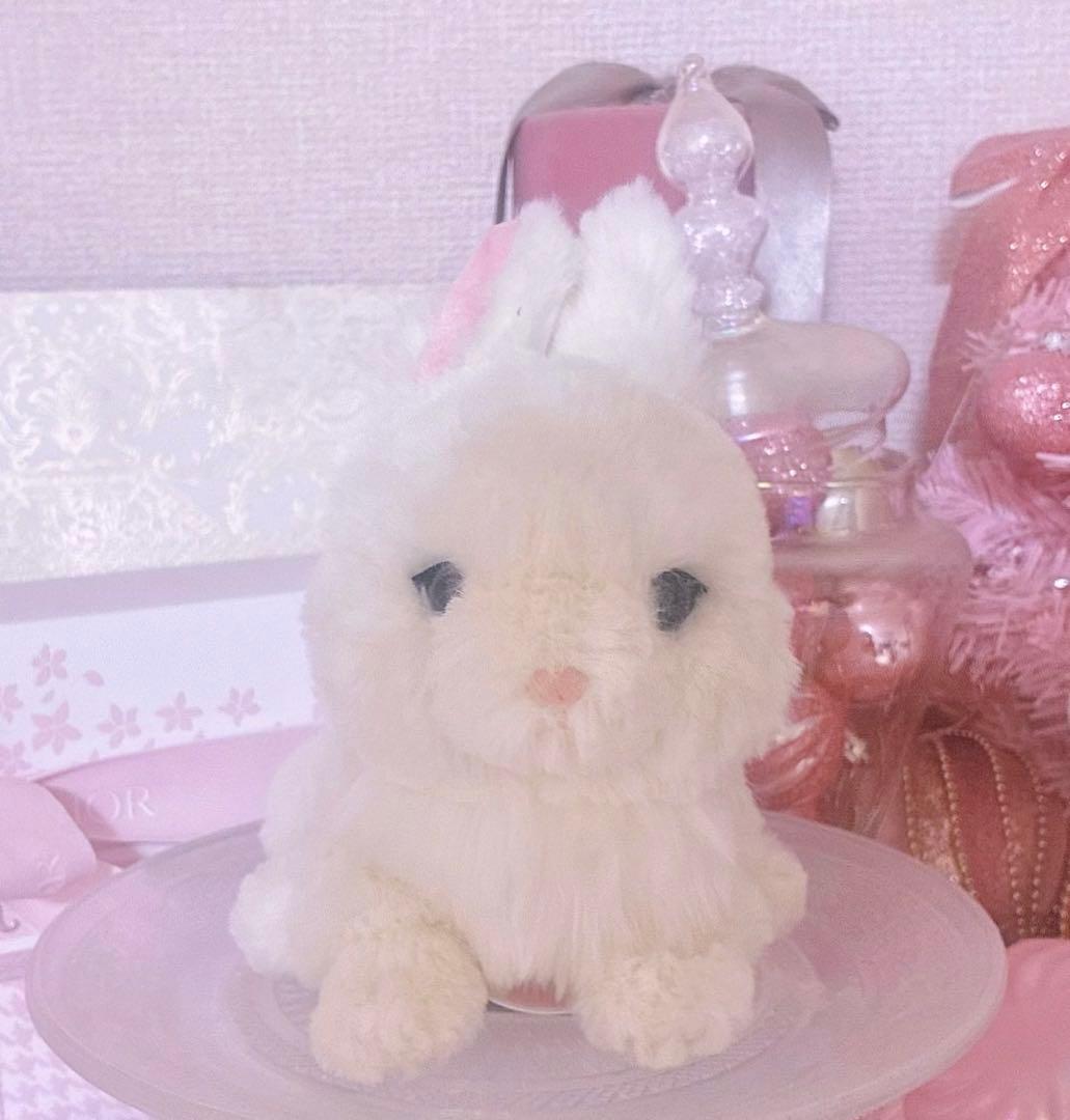 希少♡激レア♡ブルーブルーエ♡コンプリート♡うさぎ♡ラビット♡ぬいぐるみ♡新品♡