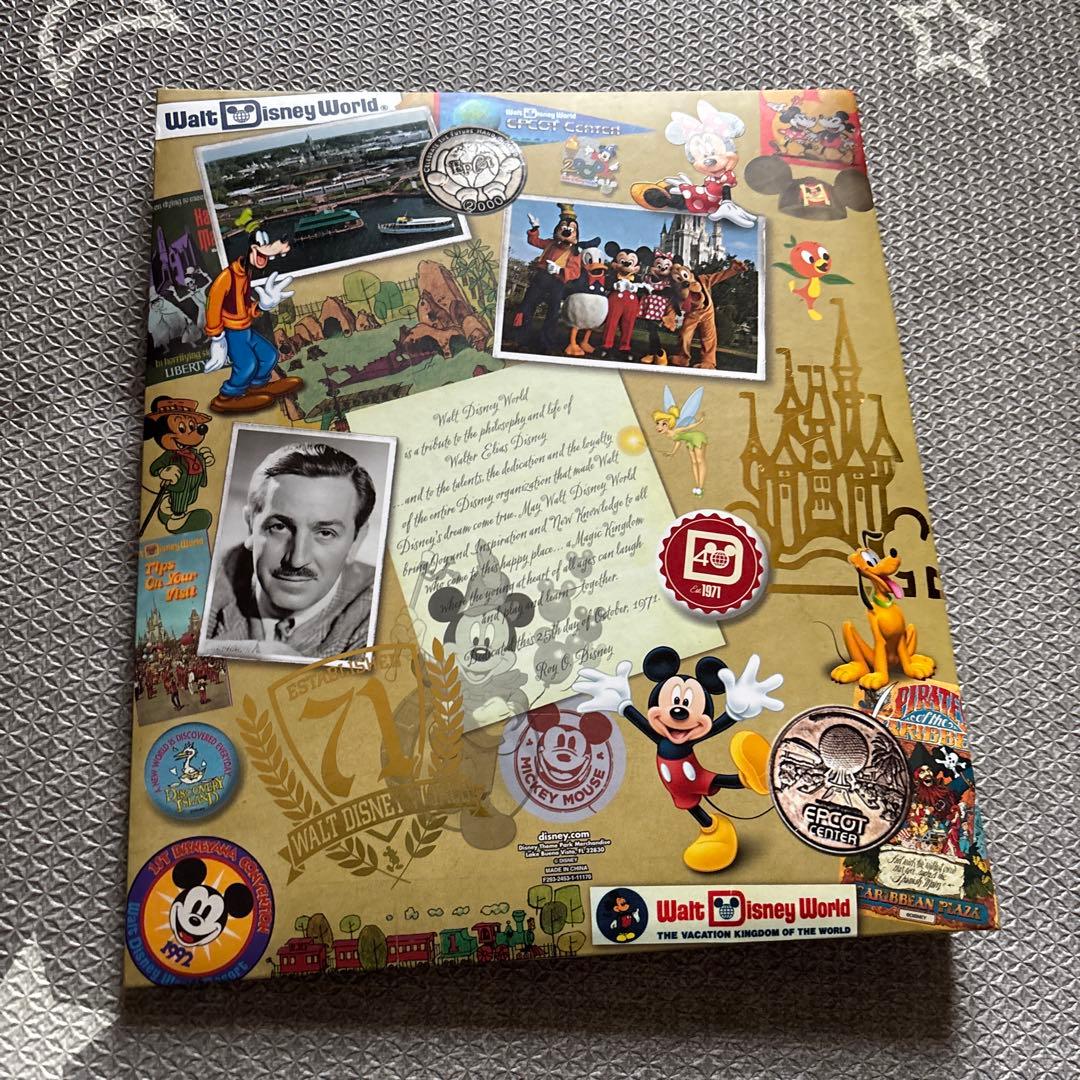 ディズニーワールド 限定ファイル