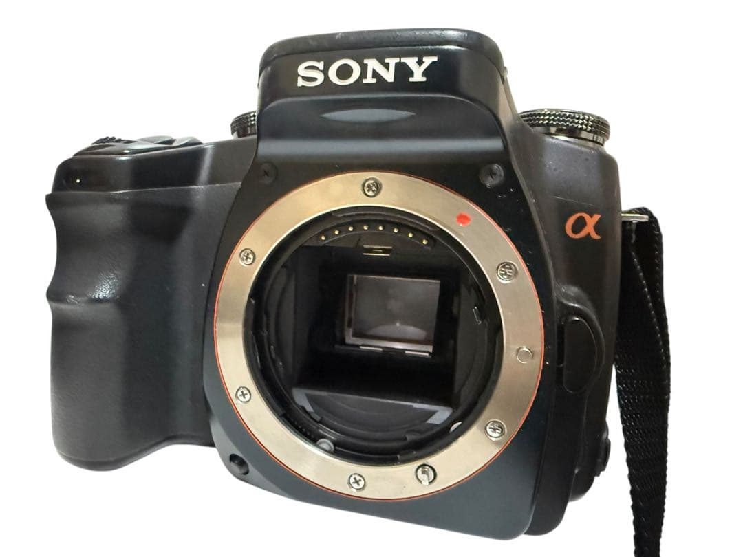 極上品 SONY α100+ MINOLTA 24-85mm f3.5-4.5