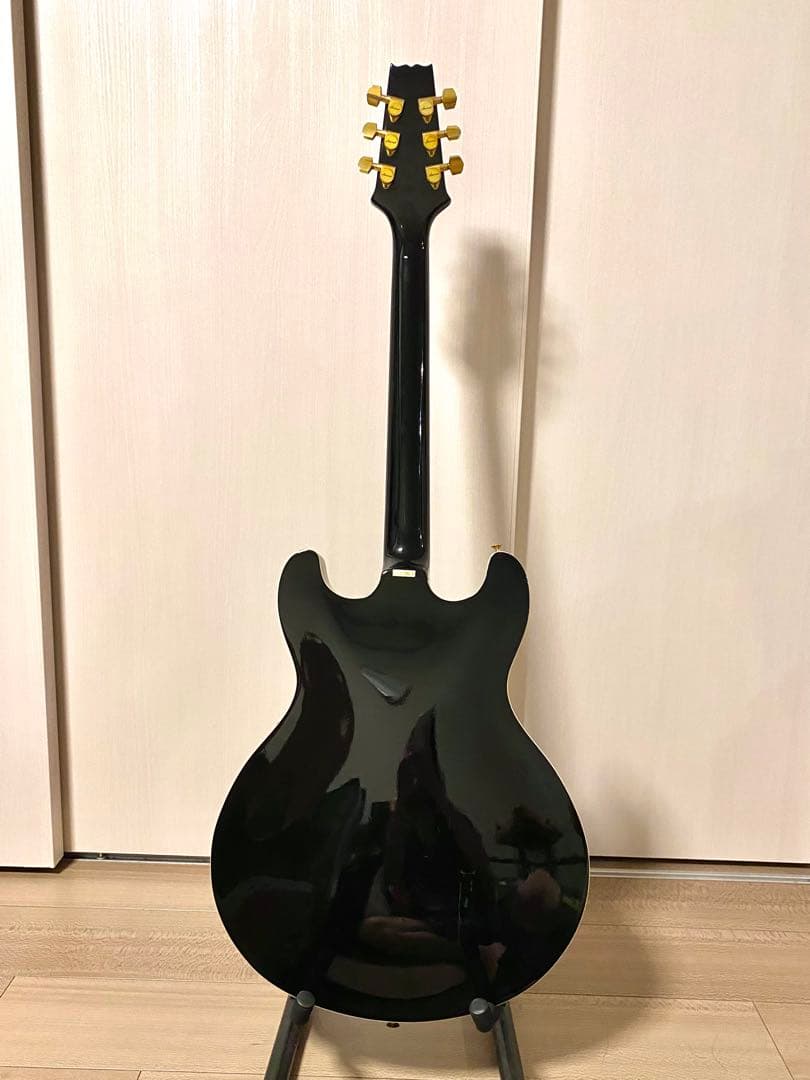 Aria Pro II TA-550 セミアコースティックギター／ソフトケース付 Aria