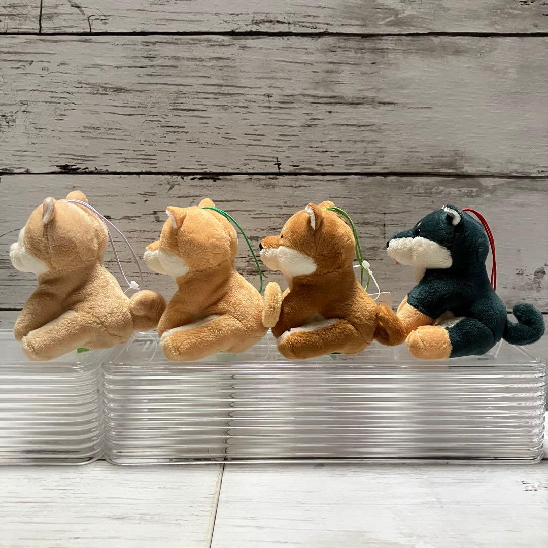 くったり柴犬 VMC コンプリート